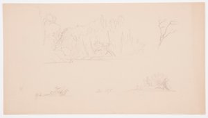 رسم، رسومات نباتية: شجرة، أشجار على الشاطئ، سبتمبر 1876 بواسطة كنيسة فريدريك إدوين