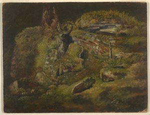رسم، صخرة في الغابة، حوالي عام 1845 بواسطة كنيسة فريدريك إدوين