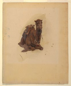 رسم، الجمل العربي الرابض، 1868 بواسطة كنيسة فريدريك إدوين