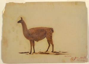 بواسطة كنيسة فريدريك إدوين