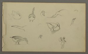 رسم، ثماني دراسات للبط، وشكلين لبط، ربما 1857-1858 بواسطة كنيسة فريدريك إدوين