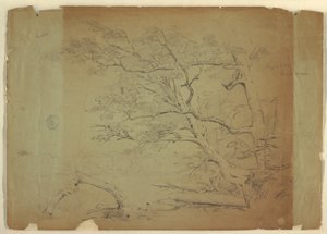 رسم، منظر طبيعي مع الأشجار والجدول [؟]، جزيرة غراند مانان، كندا، سبتمبر 1851 بواسطة كنيسة فريدريك إدوين
