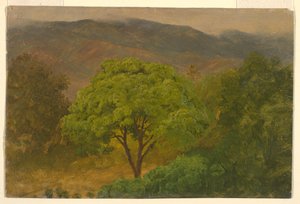 رسم، منظر طبيعي جبلي، أغسطس 1865 بواسطة كنيسة فريدريك إدوين