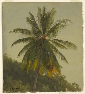 رسم، أشجار النخيل، جزر الهند الغربية، يونيو 1865، 1865 بواسطة كنيسة فريدريك إدوين