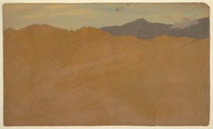 رسم، أشجار النخيل وقمم المنازل، الإكوادور، مايو 1857 بواسطة كنيسة فريدريك إدوين