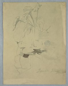 رسم، فيلوديندروم [؟] ينمو فوق صخرة، جامايكا، يونيو 1865 بواسطة كنيسة فريدريك إدوين