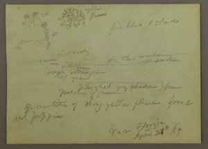 رسم، دراسة النباتات والمناظر الطبيعية، 28 أبريل، 1869 بواسطة كنيسة فريدريك إدوين