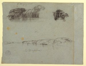 رسم تخطيطي لأشجار وكروم وضفة نهر ريو ماغدالينا، كولومبيا، 1853، على الأرجح مايو بواسطة كنيسة فريدريك إدوين