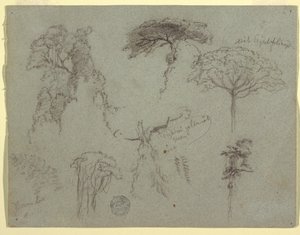 رسم، دراسات عن الأشجار، الإكوادور، 1853 بواسطة كنيسة فريدريك إدوين