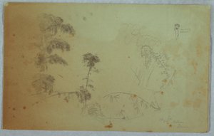 رسم، دراسات لأشجار مع تفاصيل عن الخيزران وتفاصيل صغيرة لرجل يحمل الموز على رأسه، بيلفو، جامايكا، أغسطس 1865 بواسطة كنيسة فريدريك إدوين