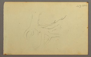 رسم، جذور شجرة، 1844 بواسطة كنيسة فريدريك إدوين