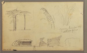 رسم، مناظر للضفة الشرقية لنهر غواياس، مقابل غواياكيل، الإكوادور، مايو 1857 بواسطة كنيسة فريدريك إدوين