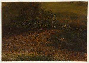 رسم، جدول وودلاند في كاتسكيلز، سبتمبر 1848 بواسطة كنيسة فريدريك إدوين