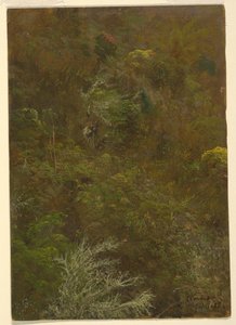 Hillside with Trees ، جامايكا بواسطة كنيسة فريدريك إدوين