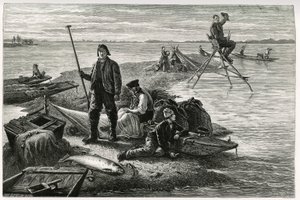 صيد سمك السلمون. نقش لإف ليكس ، لتوضيح قصة "عبر الألزاس واللورين" ، في عام 1884 ، بواسطة تشارلز جراد (1842-1890) ، المندوب الألماني والكاتب وعالم الطبيعة. نُشرت في Le Tour du monde، nouveau journal des voyages، 2nd semester 1885، edited by بواسطة فريدريك ثيودور ليكس