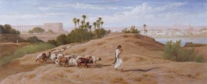 قطيع عنزة بالقرب من القاهرة