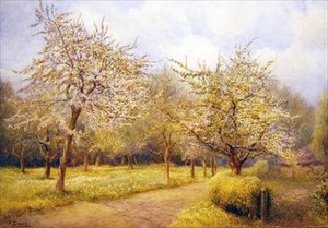 أشجار في بلوسوم (ألوان مائية على ورق)