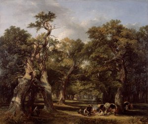 A Forest Glade ، أردن ، وارويكشاير 1845.