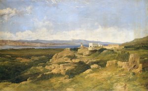 سكن الجنرال غاريبالدي في كابريرا ، 1865. بواسطة فريدريك ريتشارد لي