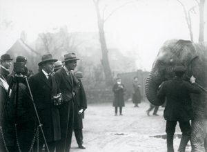 فيل هندي ، ربما سوندرمالا ، يشارك في بث خارجي من حديقة حيوان لندن ، 1925 بواسطة فريدريك وليام بوند
