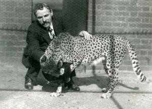 حارس تشارلز ديكسون مع الفهد لعوب في حديقة حيوان لندن ، أكتوبر 1922 بواسطة فريدريك وليام بوند