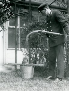 حارس المرمى توماس راغيت يمنح دش الاستحمام تاوني فروجموث ، حديقة حيوان لندن ، 1924 بواسطة فريدريك وليام بوند