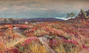 في The Heath Lytchett Minster ، c1904