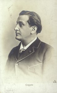 فرانسوا كوبي (1842-1908) ، شاعر وروائي فرنسي بواسطة مصور فرنسي