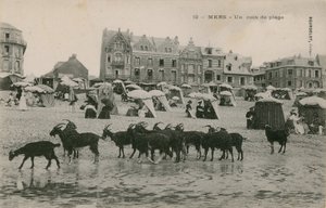 ميرس - جزء من الشاطئ. أُرسلت البطاقة البريدية عام 1913. بواسطة مصور فرنسي