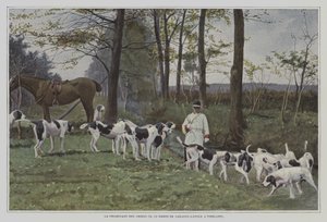 حزمة من كلاب الصيد من Baron de Carayon-Latour في Virelade ، فرنسا (صورة ملونة) بواسطة مصور فرنسي