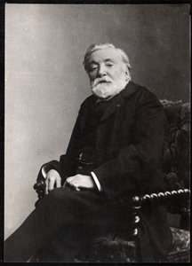 صورة لإتيان تشارلز هنري ، فيكونت دي بورنييه (1825-1901) ، الشاعر والكاتب المسرحي الفرنسي. بواسطة مصور فرنسي