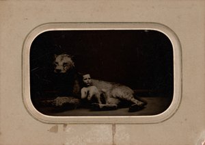 صورة لطفل، ج. 1860 (صورة) بواسطة مصور فرنسي