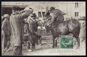 بطاقة بريدية تصور مزارعًا في هوت لوار يبيع الطعام في السوق ، ج .1900 بواسطة مصور فرنسي