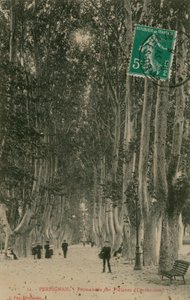 منتزه ديس بلاتانيس في بربينيان. أُرسلت البطاقة البريدية عام 1913. بواسطة مصور فرنسي