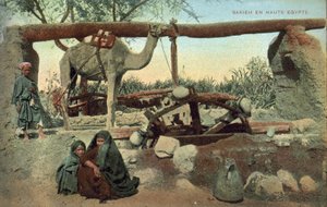 الساقية ، صعيد مصر (صورة ملونة) بواسطة مصور فرنسي