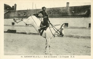 Saumur (Maine-et-Loire) ، مدرسة الفرسان ، La Croupade بواسطة مصور فرنسي