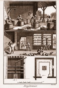 AMDONIER - Amydonnier - "" The Great Encyclopedie، ou Dictionnaire Raisonne des Sciences، des Arts et des Metiers "(موسوعة أو قاموس العلوم والفنون والمهن) بقلم دينيس ديدرو (1713-1784) وجان دالمبيرت (1717- 1783). بواسطة المدرسة الفرنسية