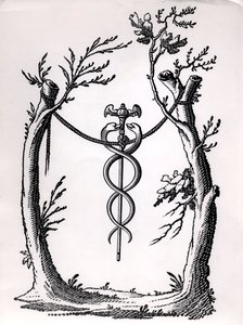 في Caduceus بواسطة المدرسة الفرنسية