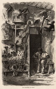 متجر في بارا ، رسم توضيحي لرحلة السيد بيارد إلى البرازيل في 1858-1859. نقش في "" Le Tour du monde "" 1861. مجموعة سيلفا. بواسطة المدرسة الفرنسية