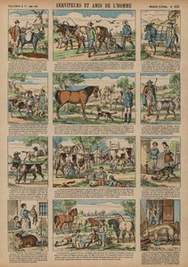 Animals beneficial to man (coloured engraving) بواسطة المدرسة الفرنسية