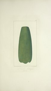 Aztec Ax ، رسم توضيحي من "مناظر كورديليراس وآثار الشعوب الأصلية في أمريكا" بقلم ألكسندر فون هومبولت وأيم بونبلاند بواسطة المدرسة الفرنسية
