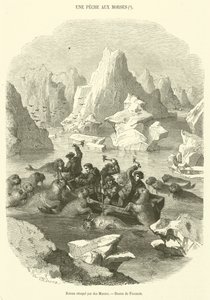 Bateau attaque par des Morses (engraving) بواسطة المدرسة الفرنسية