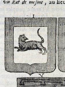 بلازون من فوج المشاة الإيطالي في "" La Vraye and Perfect Science of Arms أو the Armorial Index "بقلم بيير باليوت بواسطة المدرسة الفرنسية