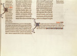 الجزء السفلي من الصفحة بدون صورة مصغرة ، من كتاب جان دي سي الكتاب المقدس 1355