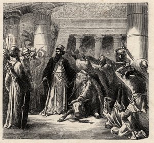 قام قمبيز الثاني ، حاكم الفرس الأخمينيين بقتل أبيس الثور المقدس للمصريين - قمبيز أو كامبيز الثاني (530-522 قبل الميلاد) نقش من "" لوم إي لا بيت "" لآرثر مانجين - 1872 - بواسطة المدرسة الفرنسية