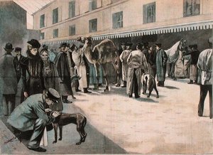 رعاية جمل في المدرسة الوطنية البيطرية في ألفورت ، حوالي 1898-99 (نقش ملون) بواسطة المدرسة الفرنسية