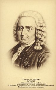 كارل لينيوس (1707-1778)، عالم نباتات وحيوان سويدي (ليثو) بواسطة المدرسة الفرنسية