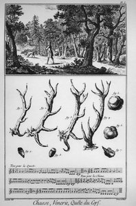 Chasse - la quete du deer - "" The Great Encyclopedie، ou Dictionnaire Raisonne des Sciences، des Arts et des Metiers "" (موسوعة أو قاموس العلوم والفنون والمهن) بقلم دينيس ديدرو (1713-1784) وجان د ' أليمبرت (1717-1783). بواسطة المدرسة الفرنسية