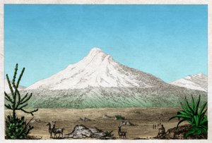 Chimborazo volcano. (engraving, ca. 1840) بواسطة المدرسة الفرنسية