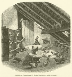 Colombier de M van Roosebeke ، Interieur de la aviary (نقش) بواسطة المدرسة الفرنسية